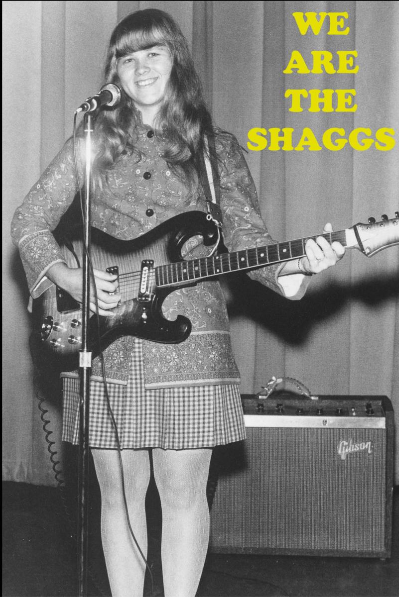 Póster de We are the Shaggs